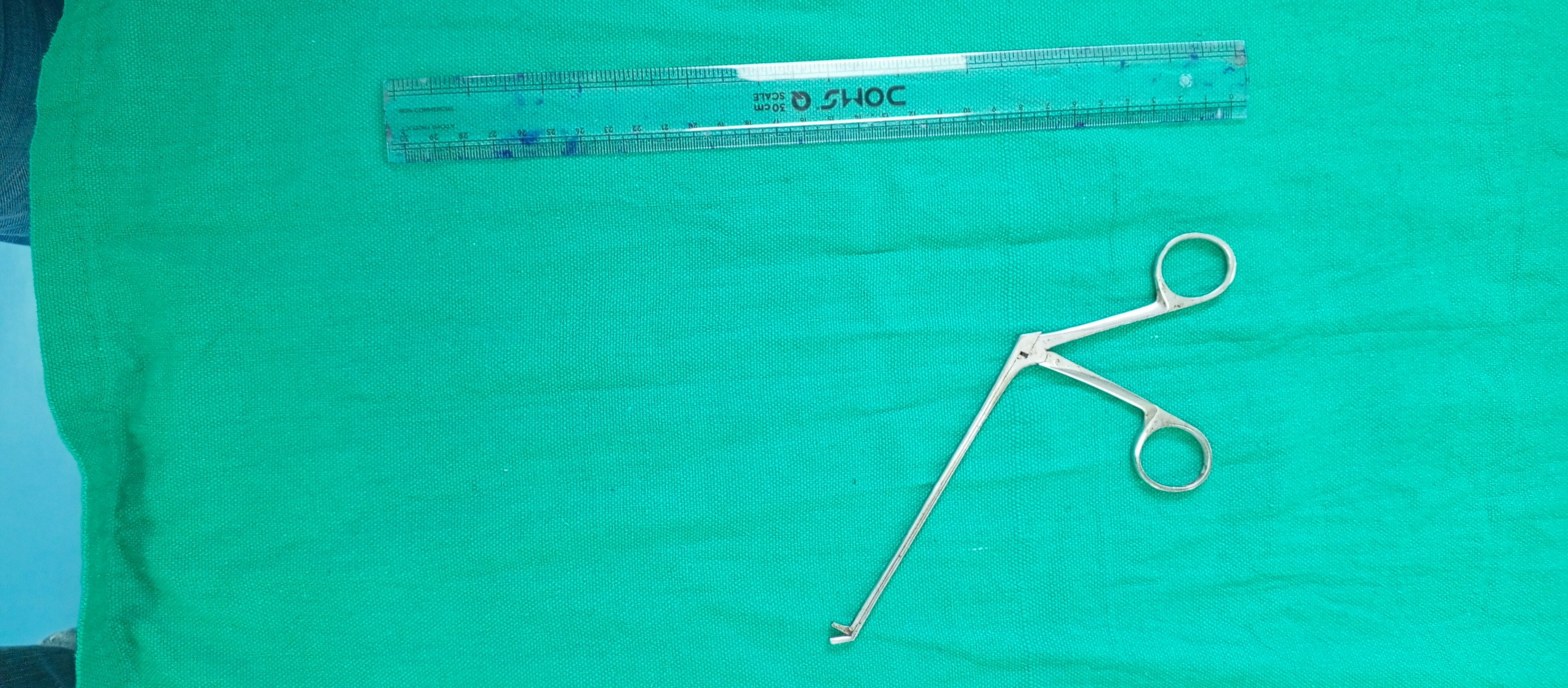 Nasal Micro Scissor
